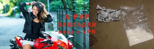индика Козельск