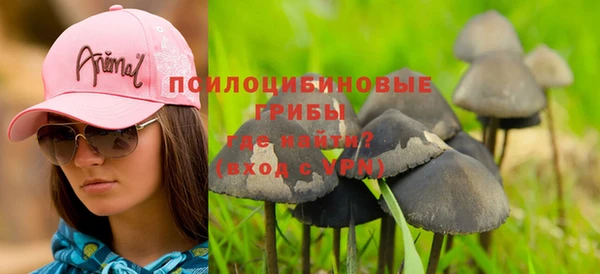 индика Козельск