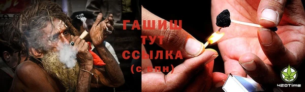 индика Козельск