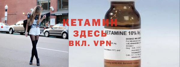 индика Козельск