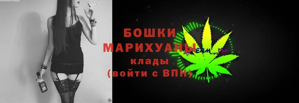 индика Козельск