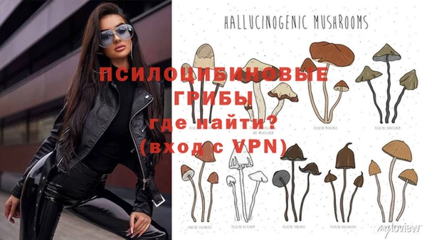 прущая мука Кодинск