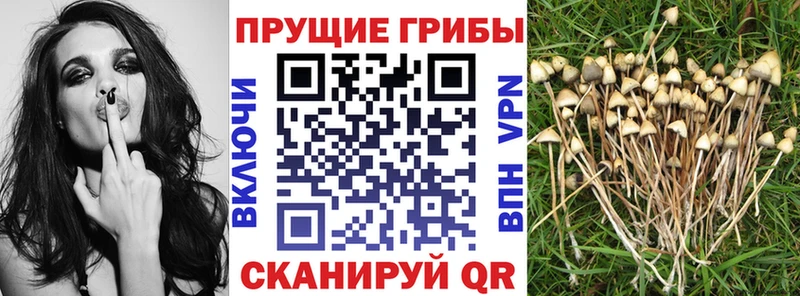 Галлюциногенные грибы GOLDEN TEACHER  сколько стоит  Называевск 